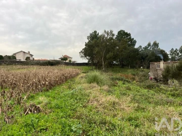Terreno para Venda em Antas