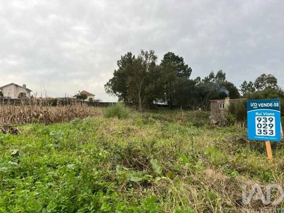 Terreno para Venda em Antas Foto 8