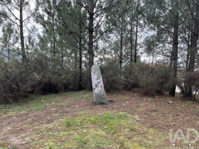 Terreno para Venda em Antas Foto 6