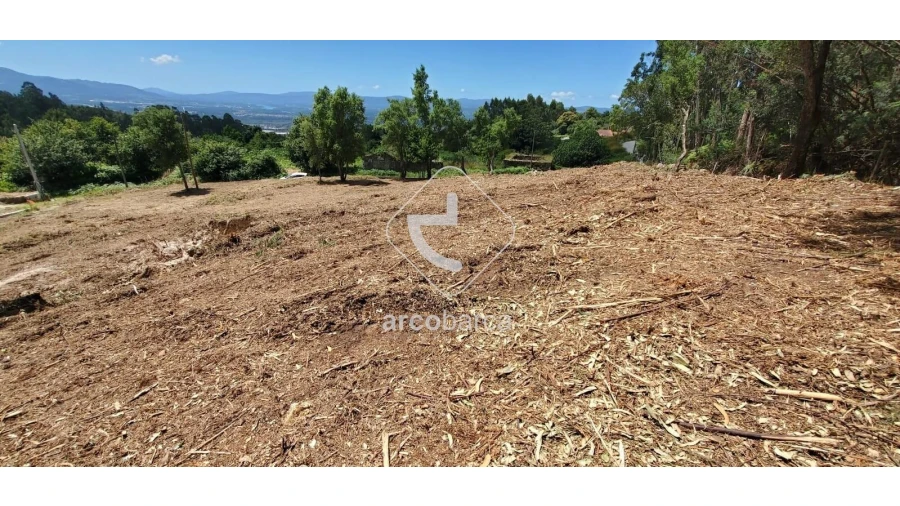 Terreno para Venda em Gandra e Taião Foto 3