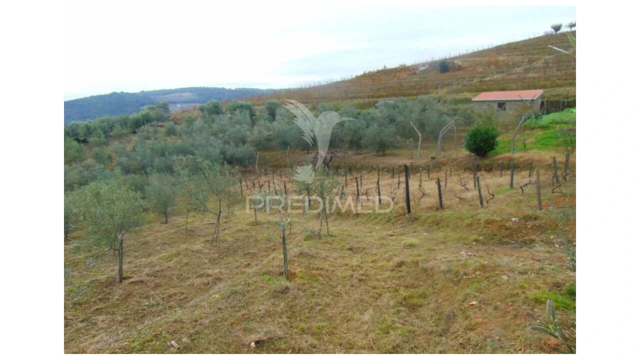 Terreno para Venda em Abaças Foto 4