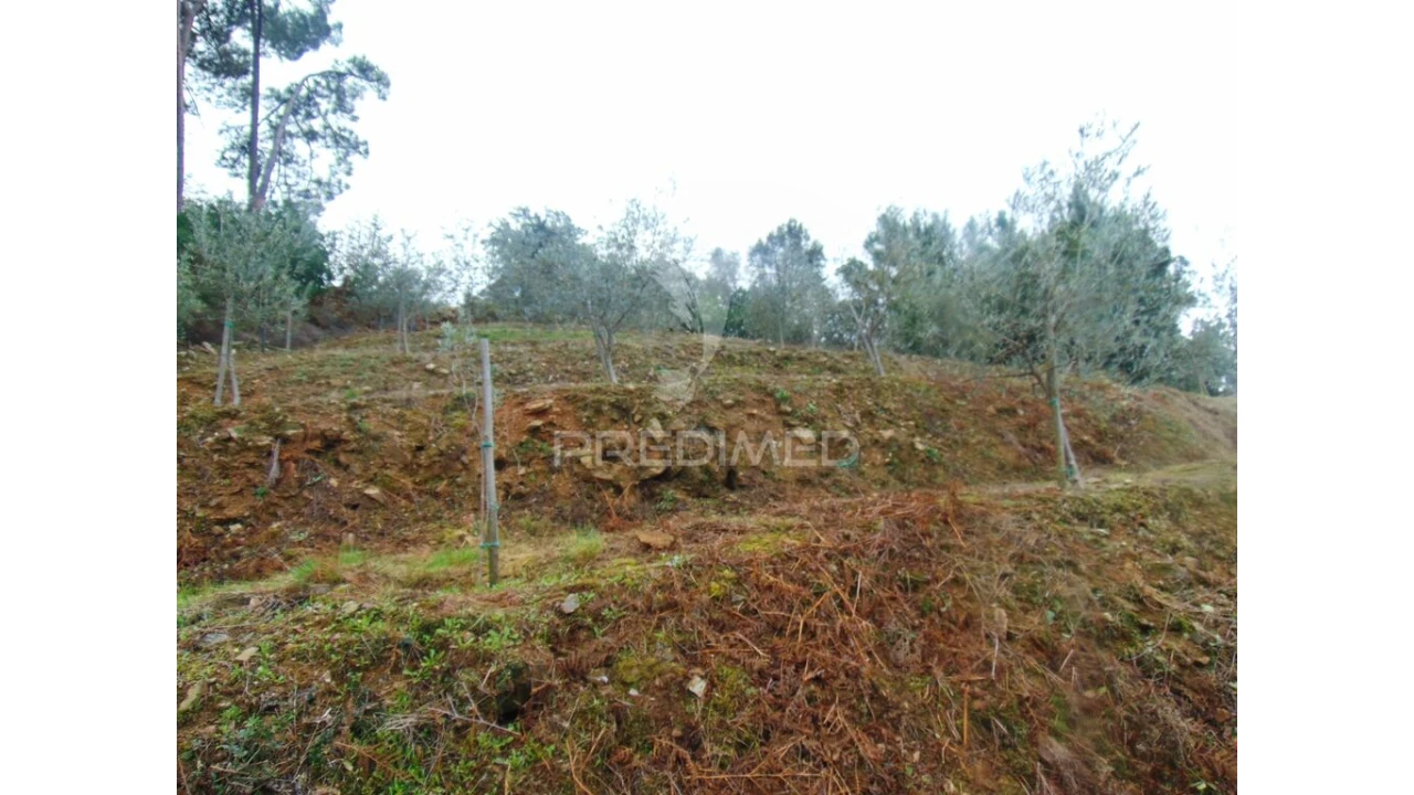 Terreno para Venda em Abaças Foto 14