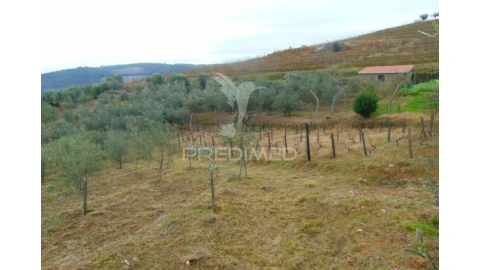 Terreno para Venda em Abaças