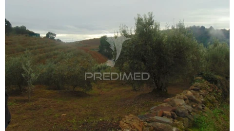 Terreno para Venda em Abaças