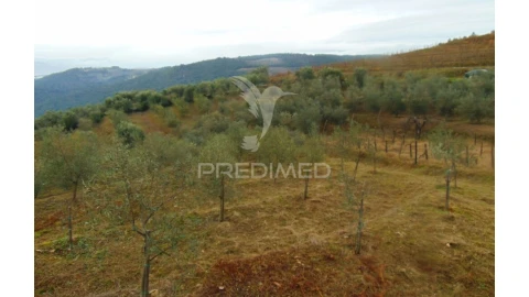 Terreno para Venda em Abaças