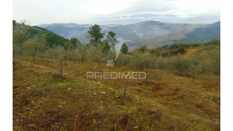Terreno para Venda em Abaças