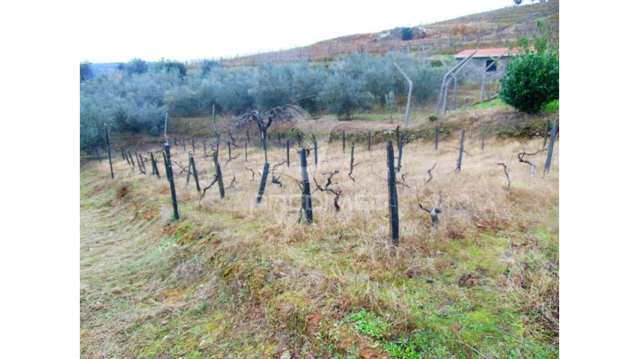 Terreno para Venda em Abaças Foto 7