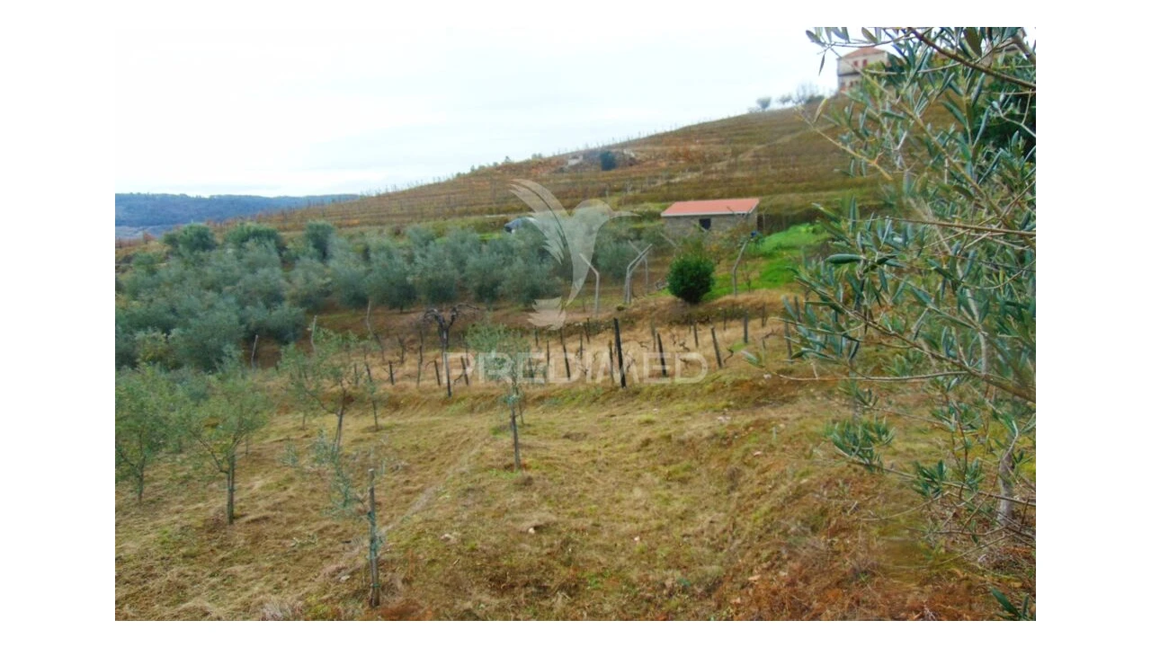 Terreno para Venda em Abaças Foto 13