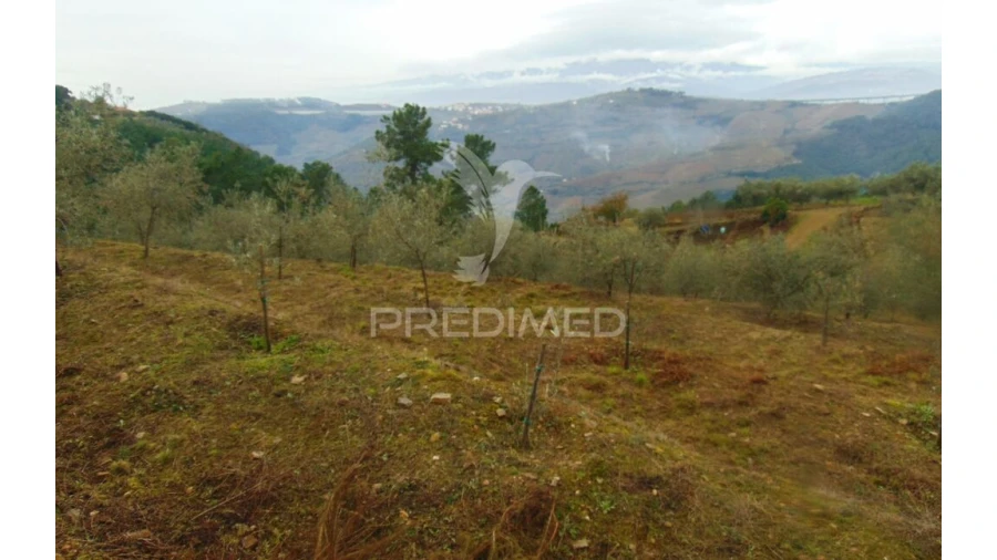 Terreno para Venda em Abaças Foto 2