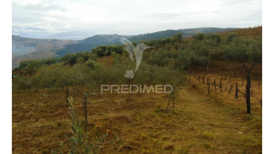 Terreno para Venda em Abaças Foto 5