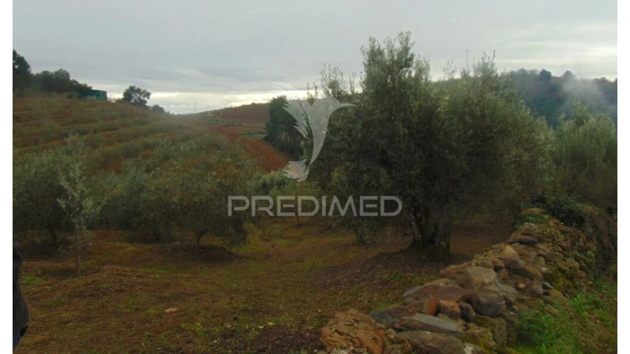 Terreno para Venda em Abaças Foto 19