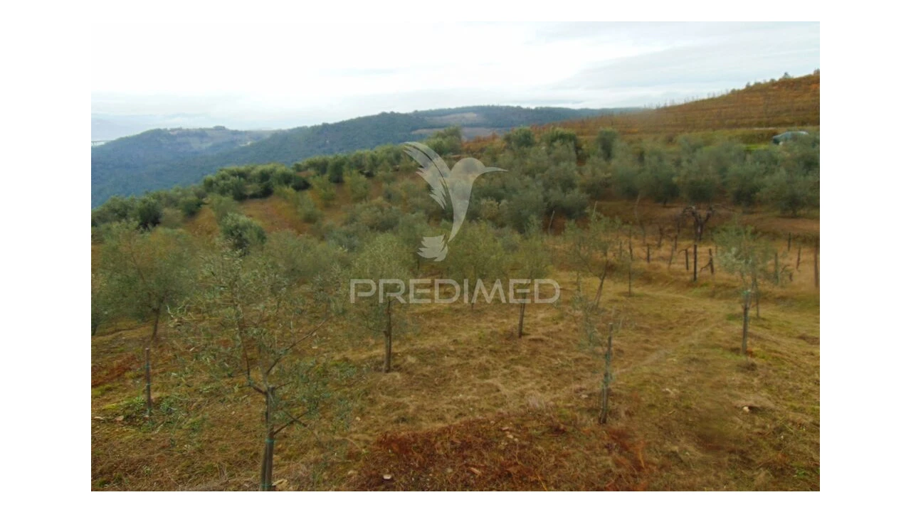 Terreno para Venda em Abaças Foto 1