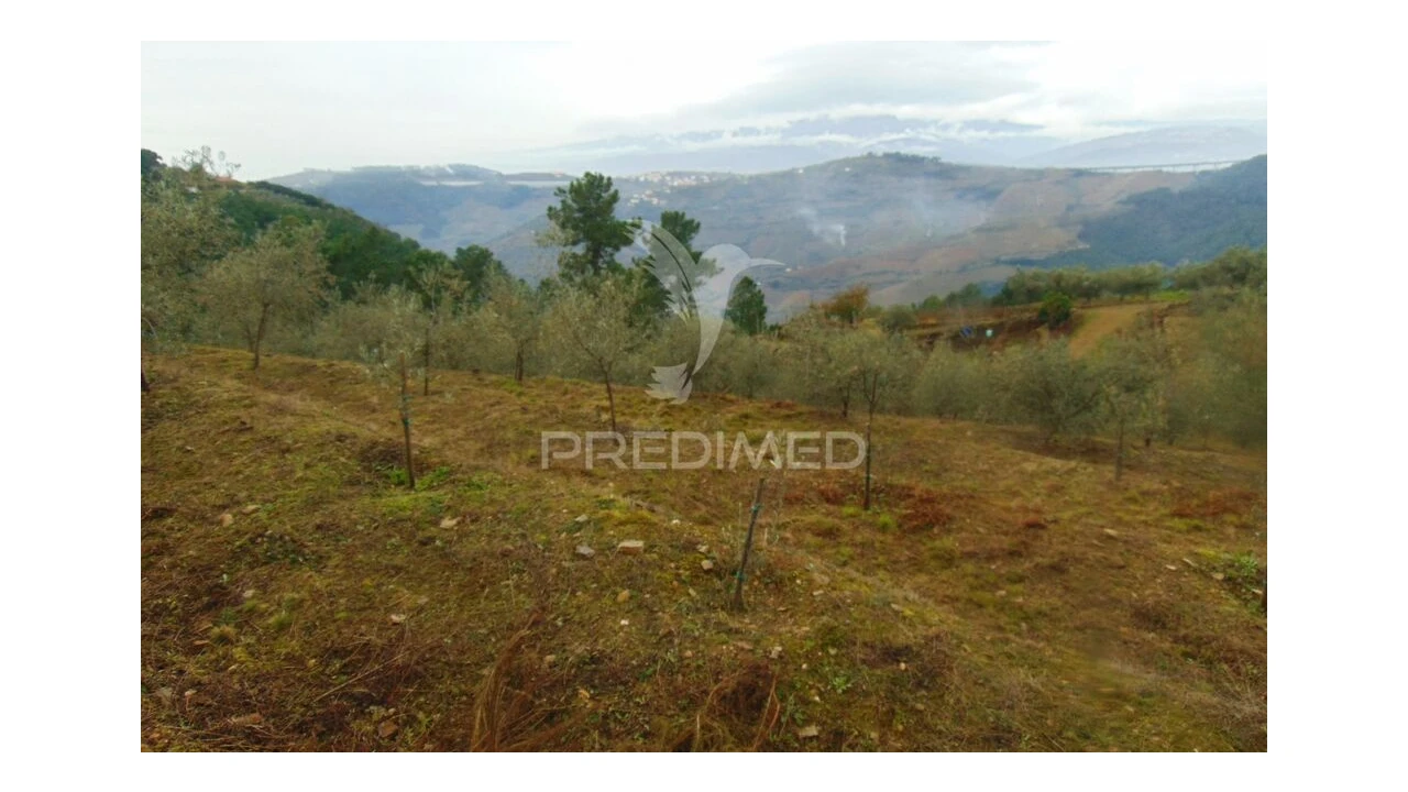 Terreno para Venda em Abaças Foto 12