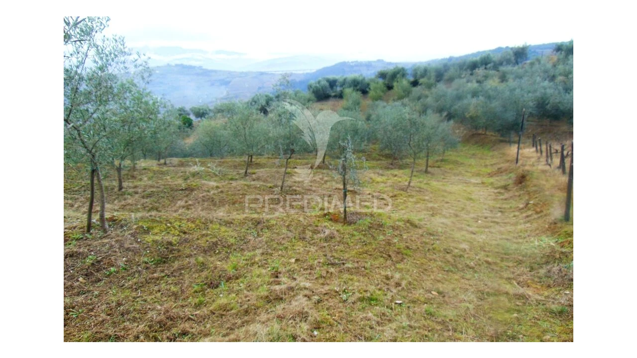 Terreno para Venda em Abaças Foto 6