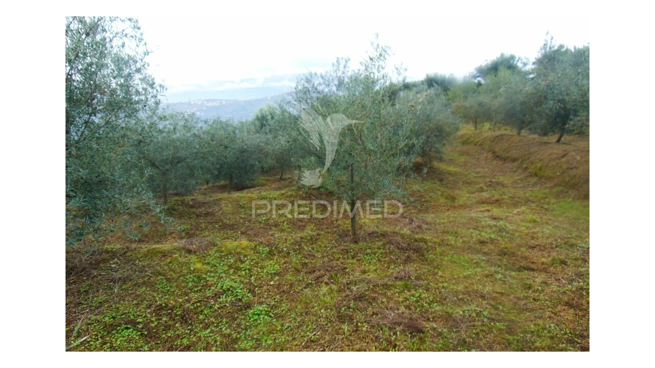 Terreno para Venda em Abaças Foto 15