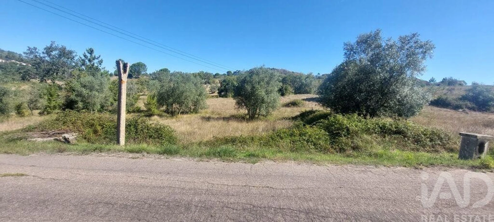 Terreno para Venda em Colmeias e Memória Foto 1