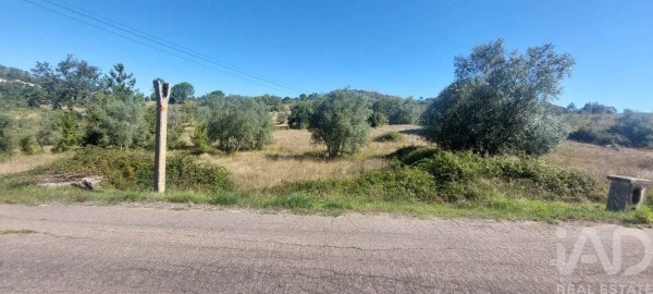 Terreno para Venda em Colmeias e Memória