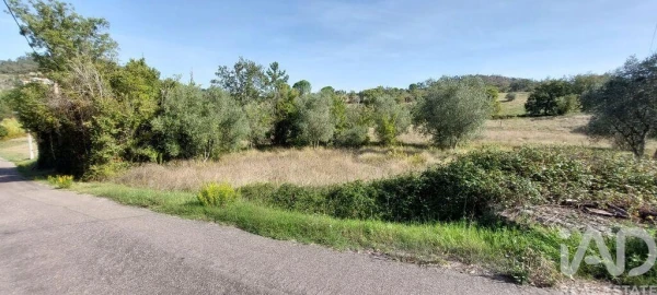 Terreno para Venda em Colmeias e Memória