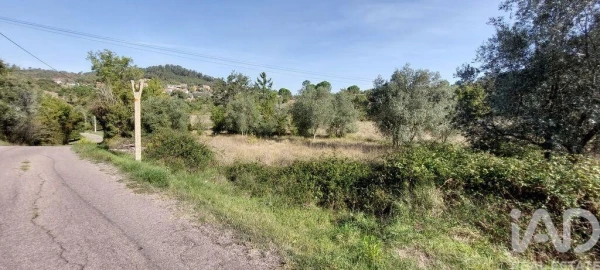 Terreno para Venda em Colmeias e Memória