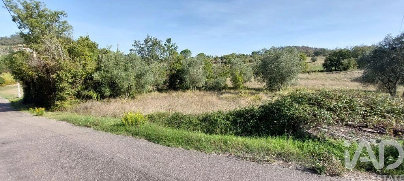 Terreno para Venda em Colmeias e Memória Foto 5