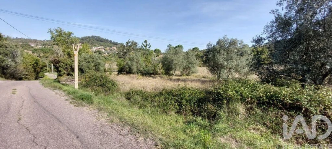Terreno para Venda em Colmeias e Memória Foto 4