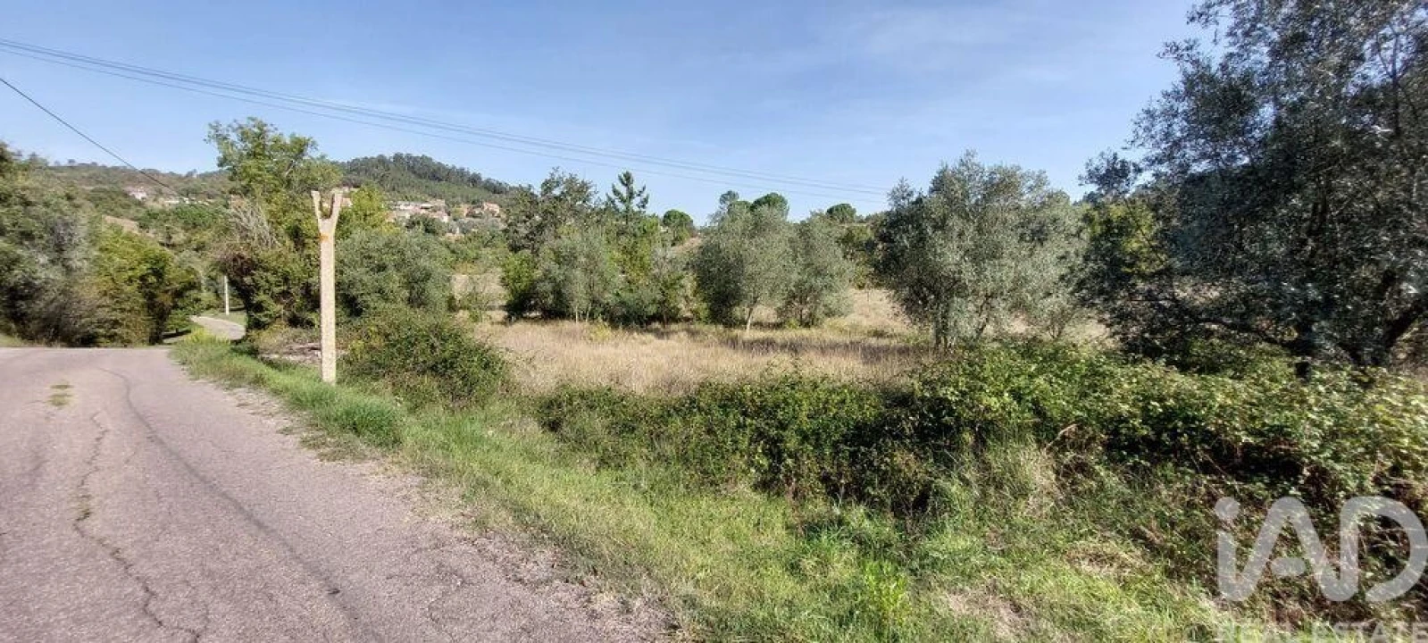 Terreno para Venda em Colmeias e Memória Foto 4