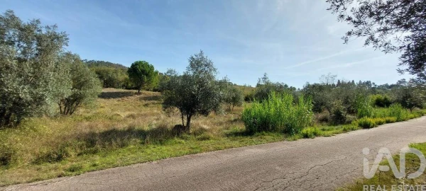 Terreno para Venda em Colmeias e Memória