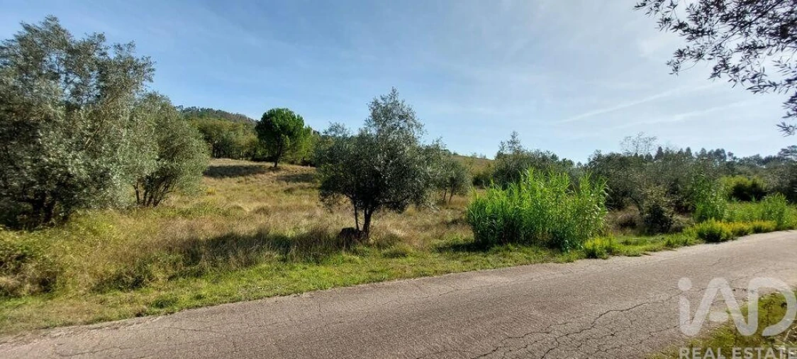 Terreno para Venda em Colmeias e Memória Foto 4