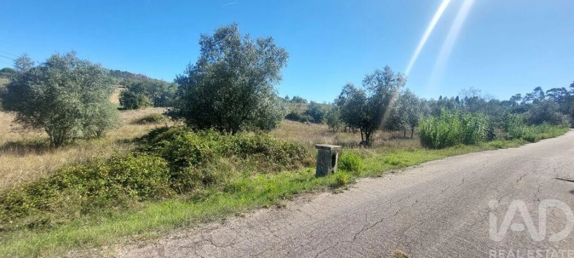 Terreno para Venda em Colmeias e Memória Foto 3