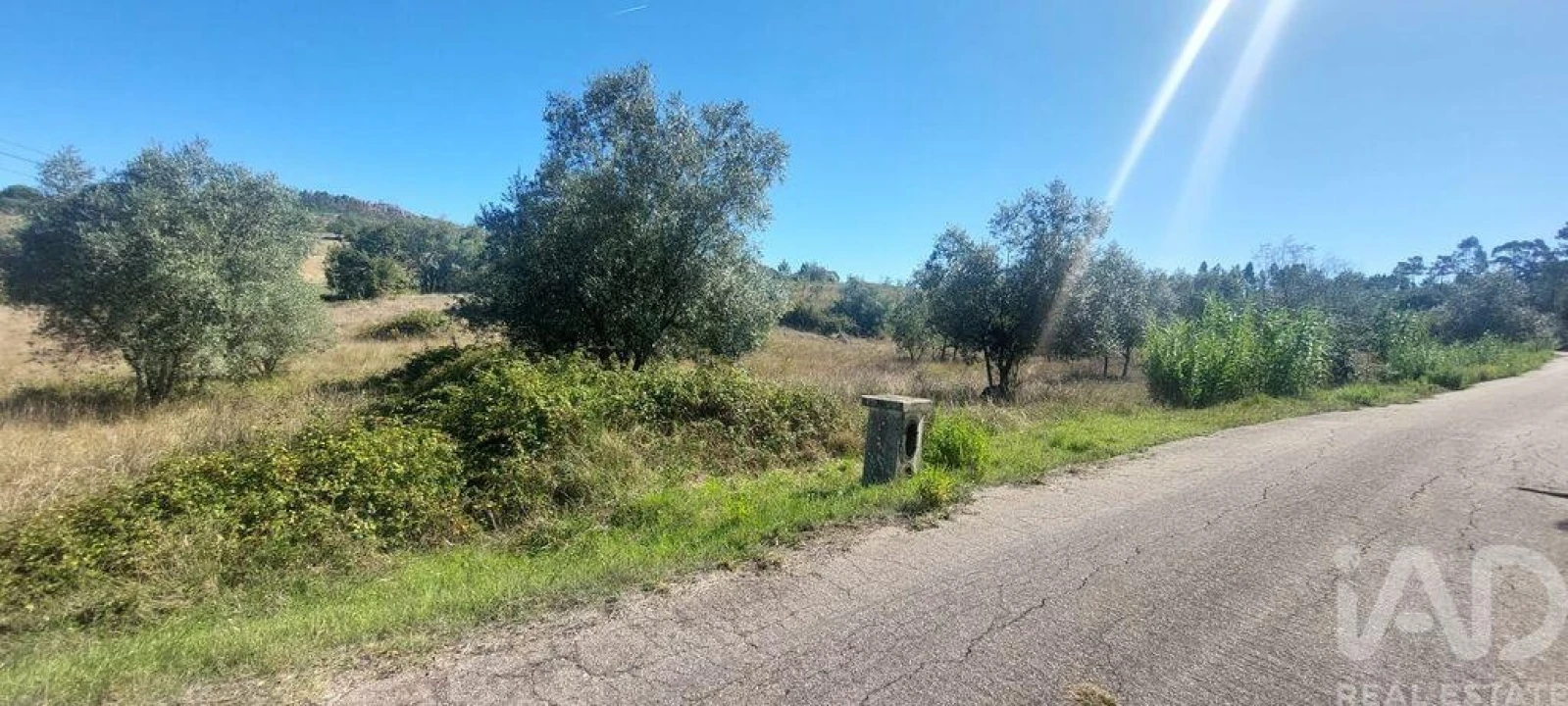 Terreno para Venda em Colmeias e Memória Foto 3