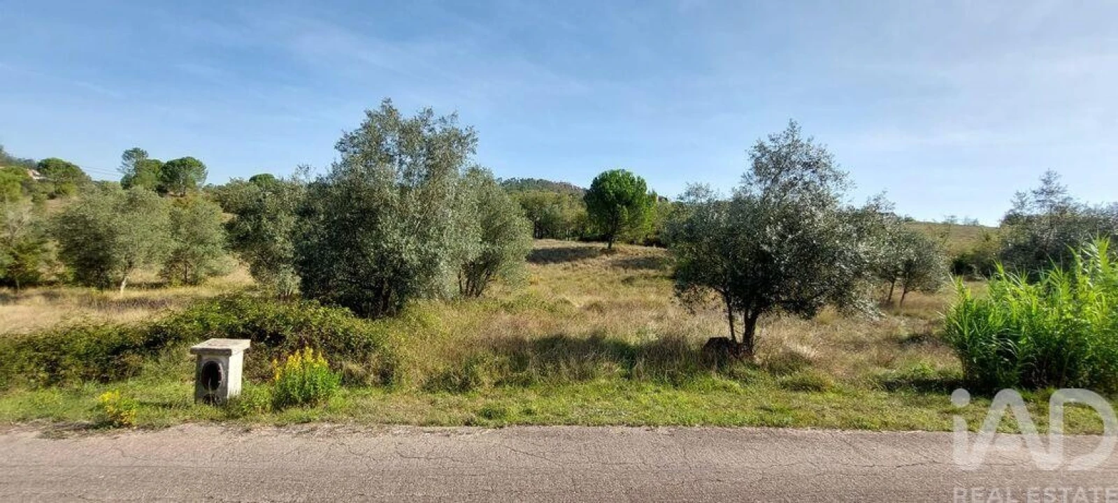 Terreno para Venda em Colmeias e Memória Foto 2