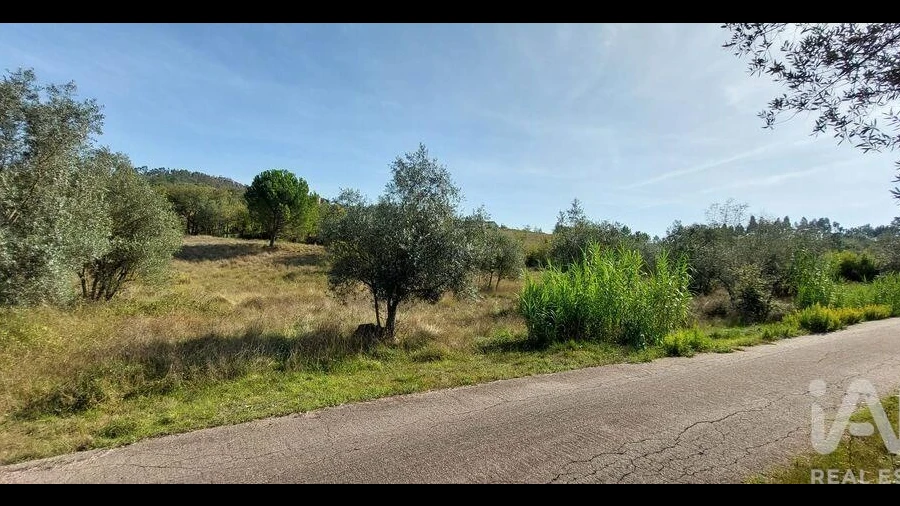 Terreno para Venda em Colmeias e Memória