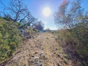 Terreno para Venda em Boliqueime