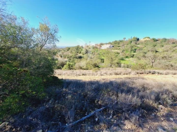 Terreno para Venda em Boliqueime
