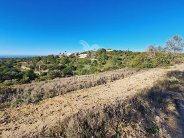 Terreno para Venda em Boliqueime
