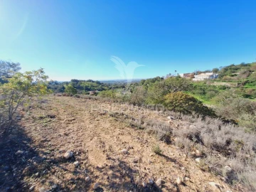 Terreno para Venda em Boliqueime
