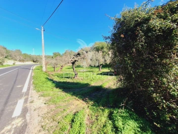Terreno para Venda em Boliqueime