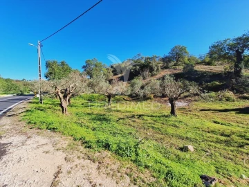 Terreno para Venda em Boliqueime