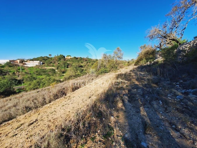 Terreno para Venda em Boliqueime Foto 5