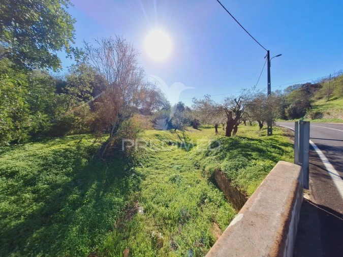 Terreno para Venda em Boliqueime Foto 16