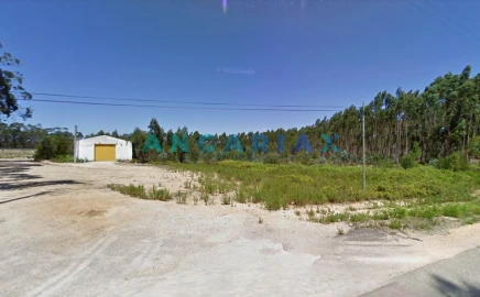 Armazém para Venda em Marinha Grande