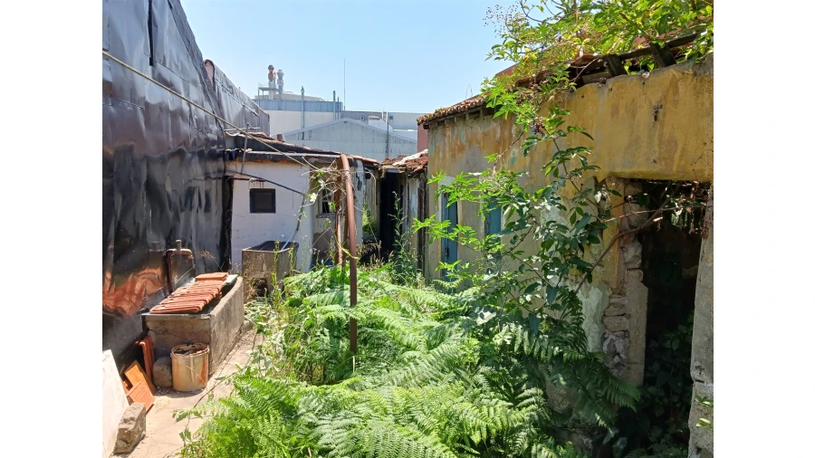 Terreno para Venda em São Mamede de Infesta e Senhora da Hora Foto 13