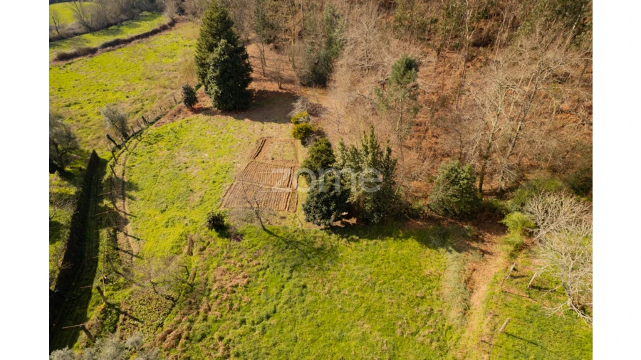 Terreno para Venda em Oliveira Foto 15