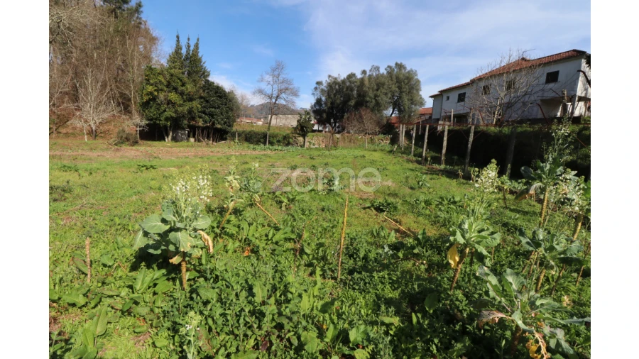Terreno para Venda em Oliveira Foto 3