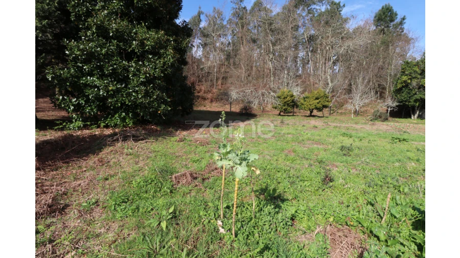 Terreno para Venda em Oliveira Foto 4