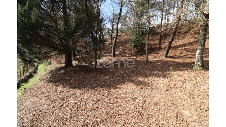 Terreno para Venda em Oliveira Foto 12