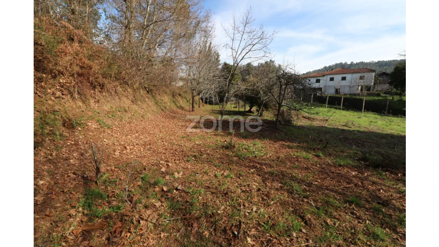 Terreno para Venda em Oliveira Foto 14