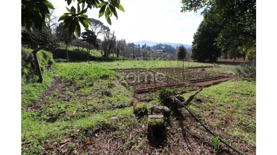 Terreno para Venda em Oliveira Foto 6