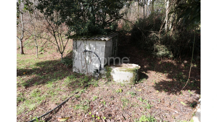 Terreno para Venda em Oliveira Foto 8
