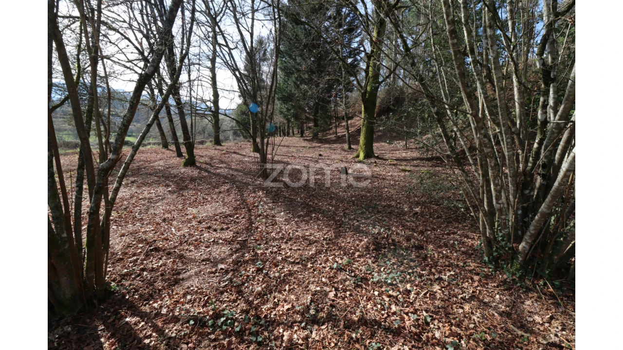 Terreno para Venda em Oliveira Foto 9